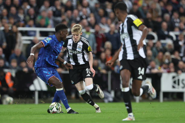 还有更大的 还有更大的